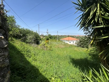 Terreno para Venda em Assentiz