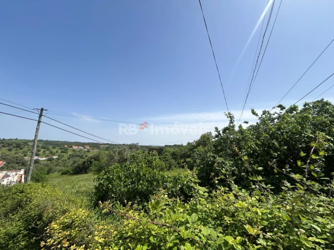 Terreno para Venda em Assentiz Foto 10