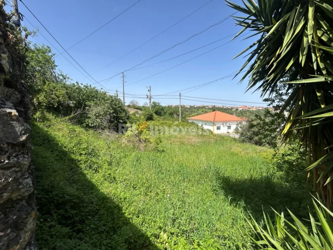Terreno para Venda em Assentiz Foto 16