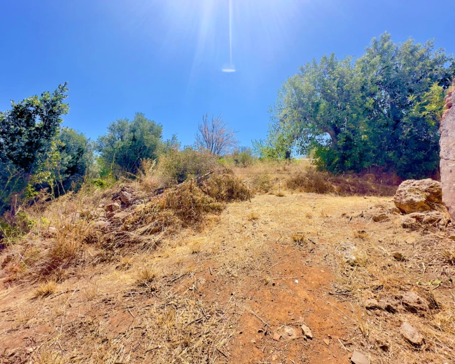 Moradia para Venda em Querença, Tôr e Benafim Foto 34