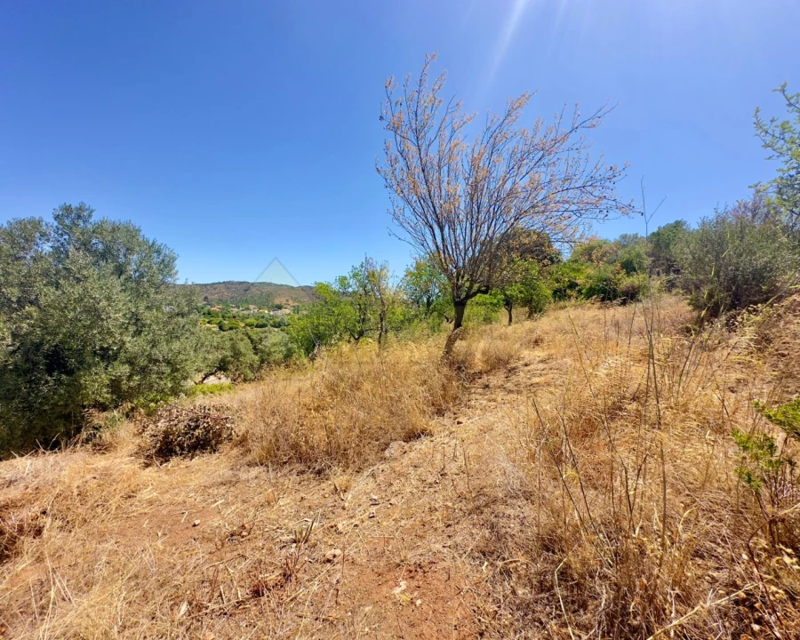 Moradia para Venda em Querença, Tôr e Benafim Foto 36