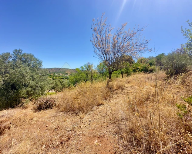 Moradia para Venda em Querença, Tôr e Benafim Foto 36