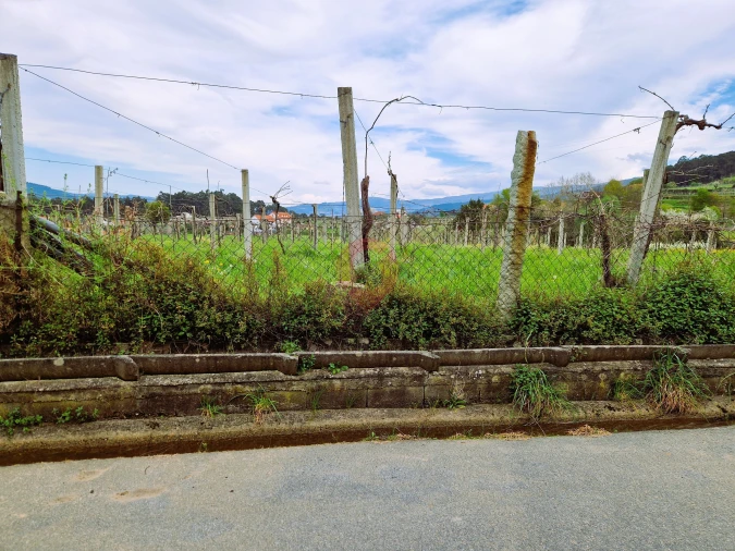 Terreno para Venda em Messegães, Valadares e Sá Foto 5