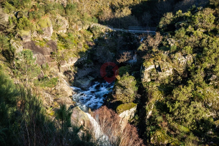 Terreno para Venda em Messegães, Valadares e Sá Foto 7