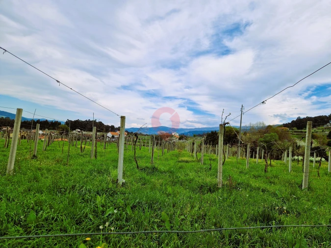 Terreno para Venda em Messegães, Valadares e Sá Foto 1