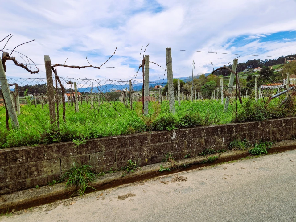 Terreno para Venda em Messegães, Valadares e Sá Foto 4