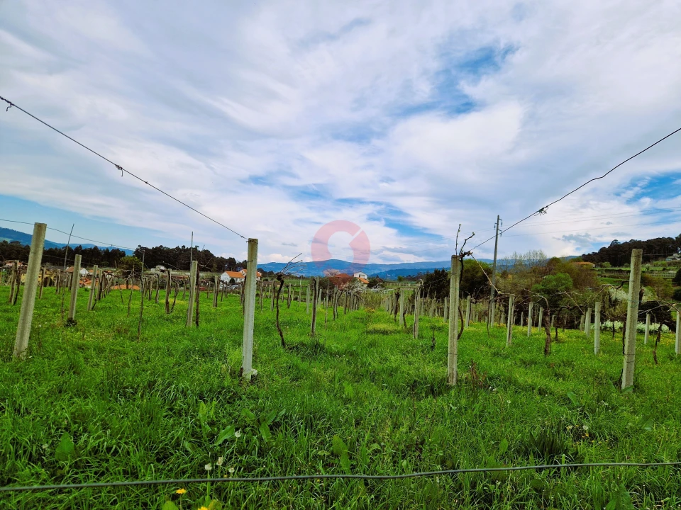 Terreno para Venda em Messegães, Valadares e Sá Foto 1