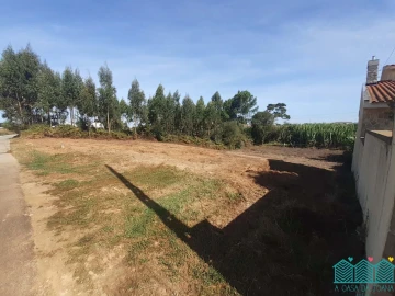 Terreno Agricola ou Rústico para Venda em Aradas