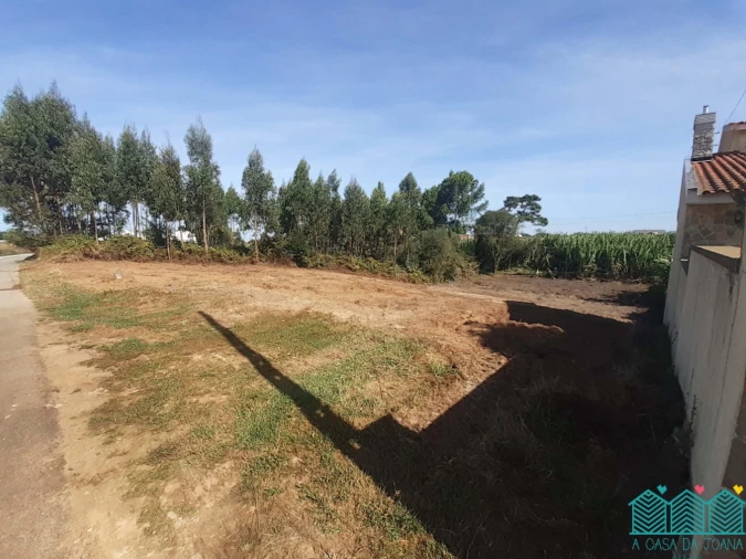 Terreno Agricola ou Rústico para Venda em Aradas Foto 3