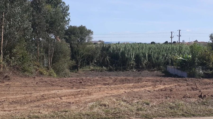 Terreno Agricola ou Rústico para Venda em Aradas