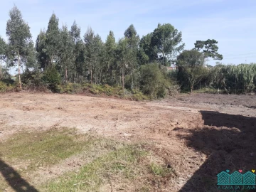 Terreno para Venda em Aradas