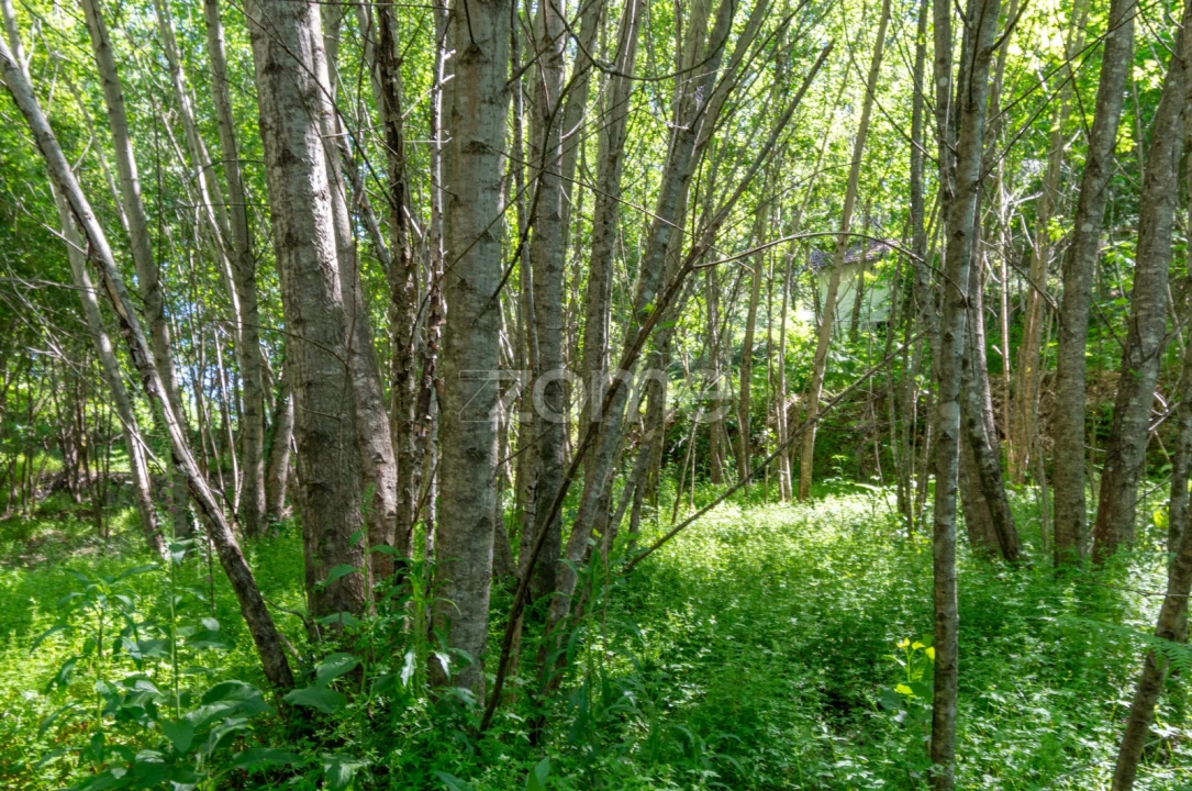 Terreno para Venda em Britelo, Gémeos e Ourilhe Foto 13