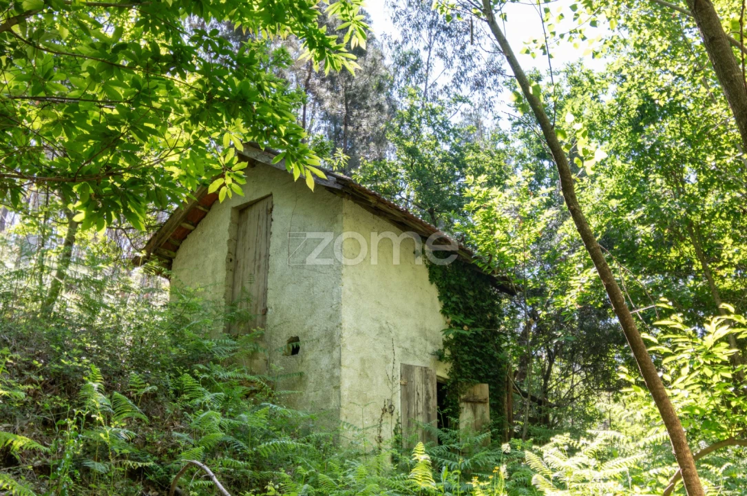 Terreno para Venda em Britelo, Gémeos e Ourilhe Foto 3