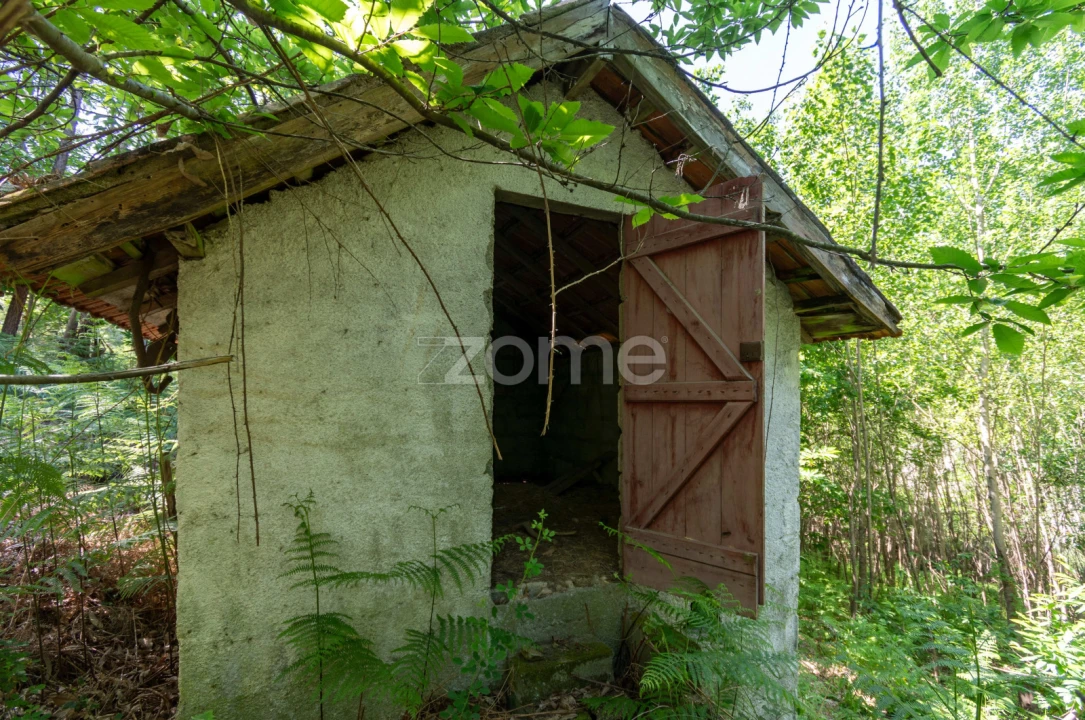 Terreno para Venda em Britelo, Gémeos e Ourilhe Foto 1