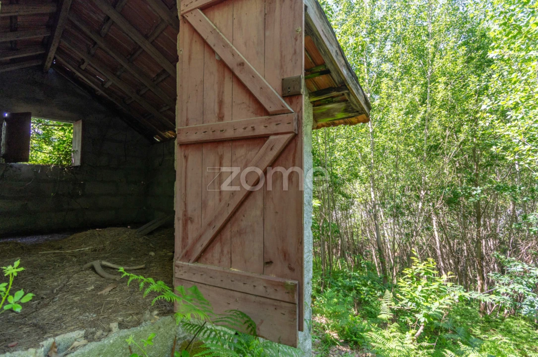 Terreno para Venda em Britelo, Gémeos e Ourilhe Foto 4