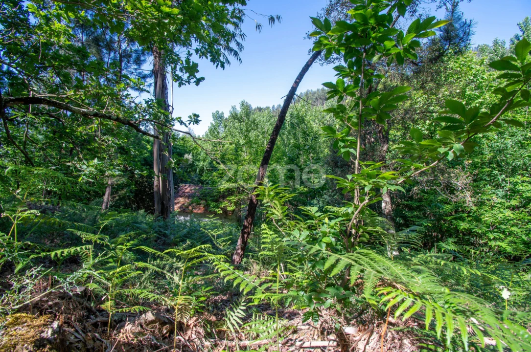 Terreno para Venda em Britelo, Gémeos e Ourilhe Foto 9
