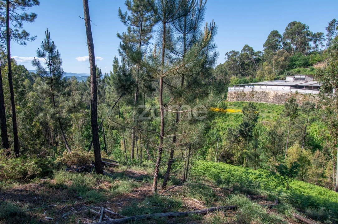 Terreno para Venda em Britelo, Gémeos e Ourilhe Foto 18