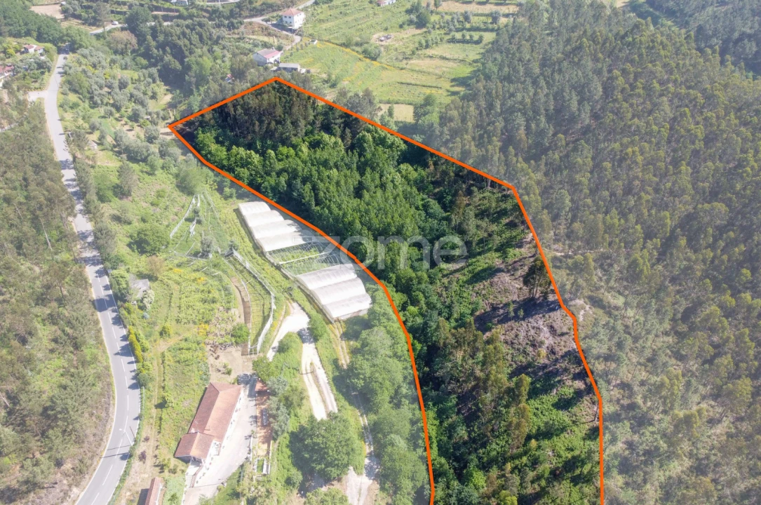 Terreno para Venda em Britelo, Gémeos e Ourilhe Foto 20