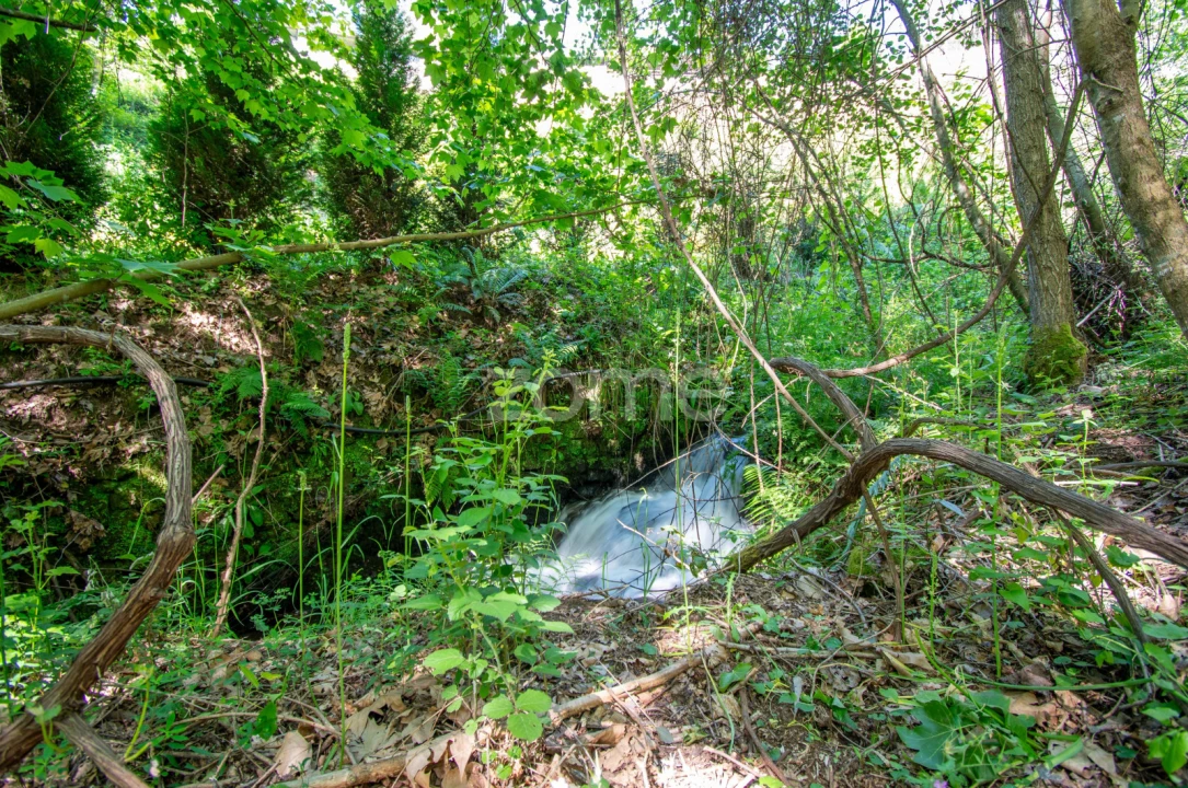Terreno para Venda em Britelo, Gémeos e Ourilhe Foto 7