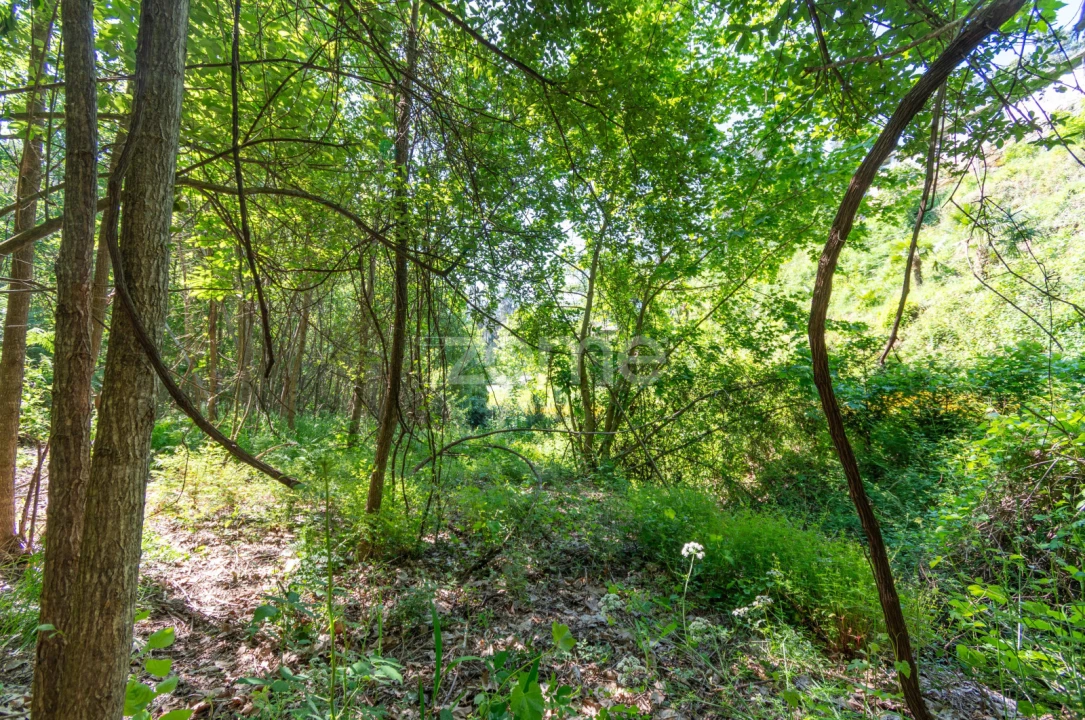 Terreno para Venda em Britelo, Gémeos e Ourilhe Foto 17