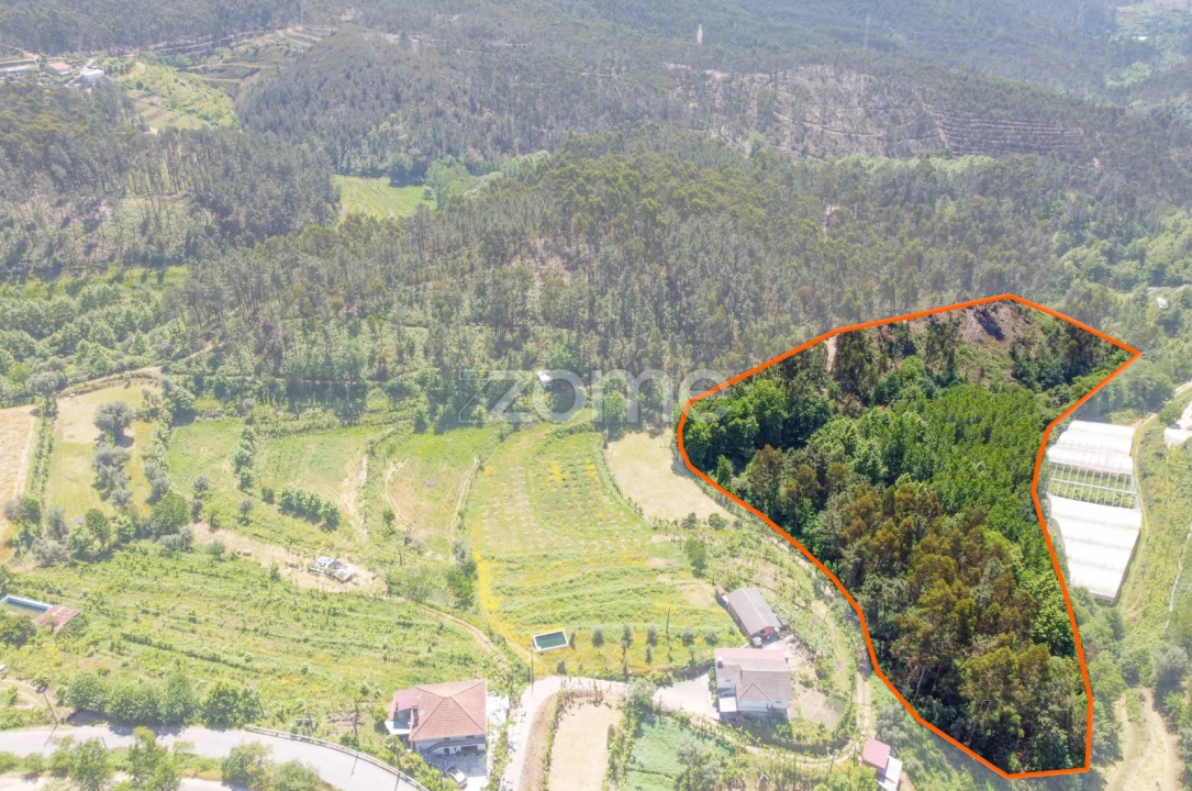 Terreno para Venda em Britelo, Gémeos e Ourilhe Foto 21