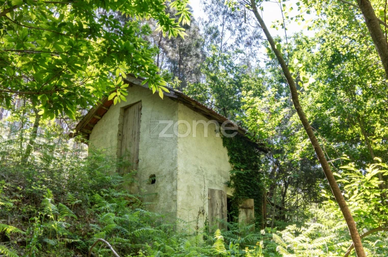 Terreno para Venda em Britelo, Gémeos e Ourilhe Foto 3