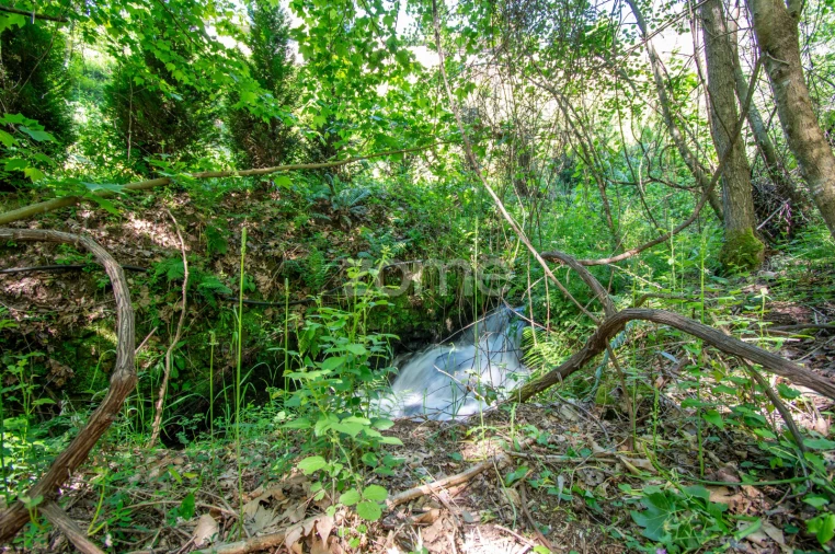 Terreno para Venda em Britelo, Gémeos e Ourilhe Foto 15