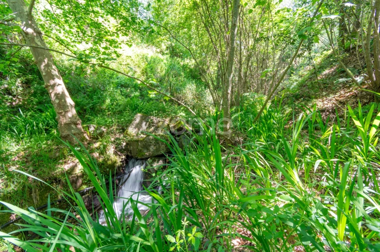 Terreno para Venda em Britelo, Gémeos e Ourilhe Foto 14