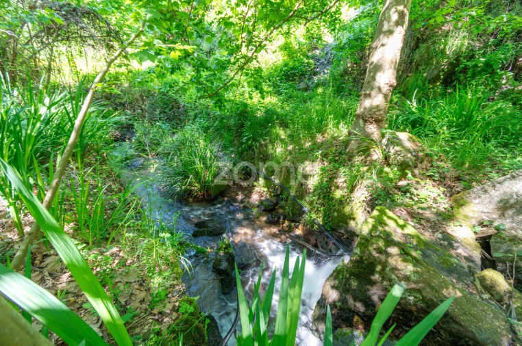 Terreno para Venda em Britelo, Gémeos e Ourilhe Foto 5