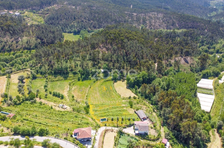 Terreno para Venda em Britelo, Gémeos e Ourilhe Foto 28