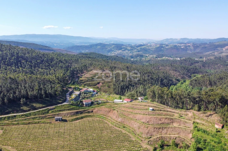 Terreno para Venda em Britelo, Gémeos e Ourilhe Foto 24