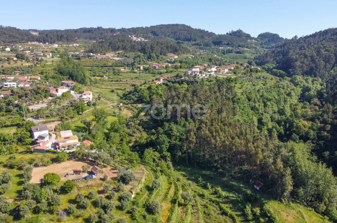 Terreno para Venda em Britelo, Gémeos e Ourilhe Foto 23
