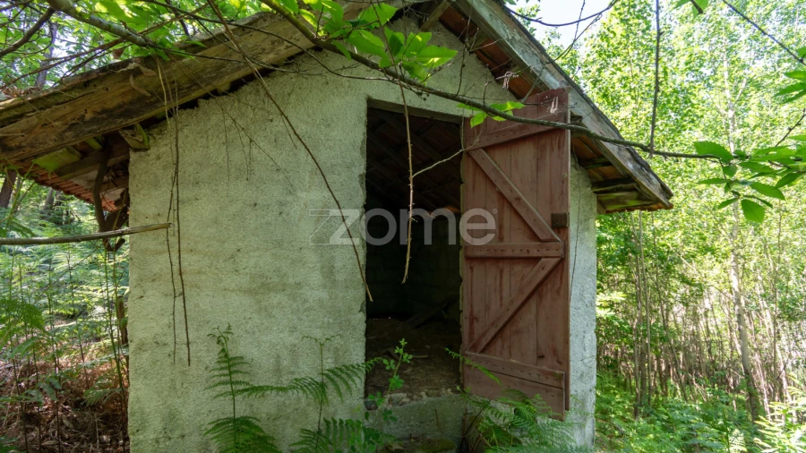 Terreno para Venda em Britelo, Gémeos e Ourilhe