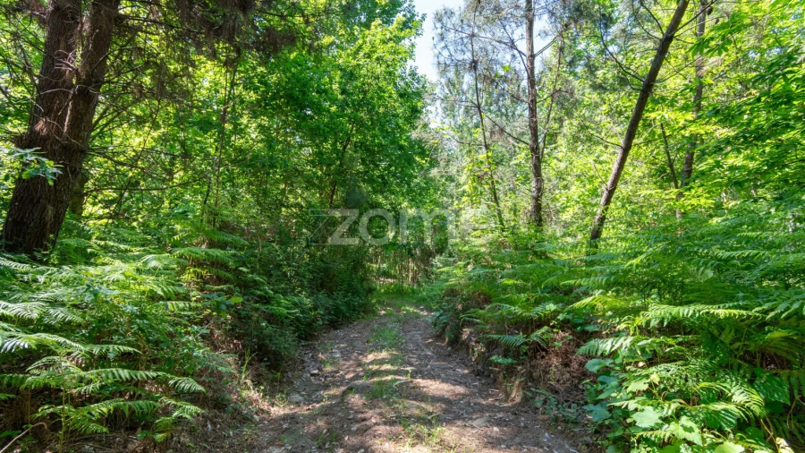 Terreno para Venda em Britelo, Gémeos e Ourilhe