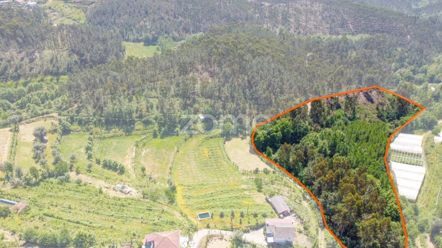 Terreno para Venda em Britelo, Gémeos e Ourilhe