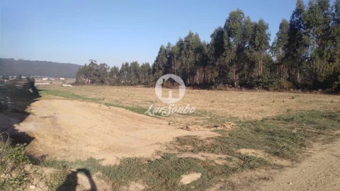 Terreno Agricola ou Rústico para Venda em Rates