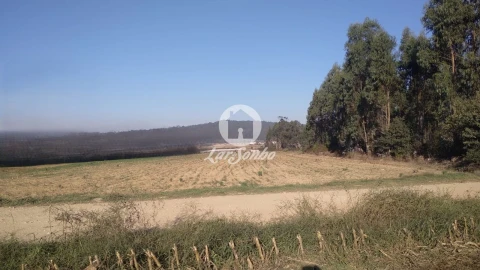 Terreno Agricola ou Rústico para Venda em Rates