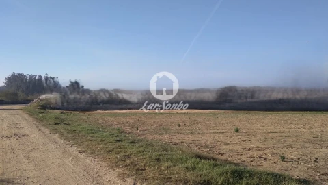 Terreno Agricola ou Rústico para Venda em Rates