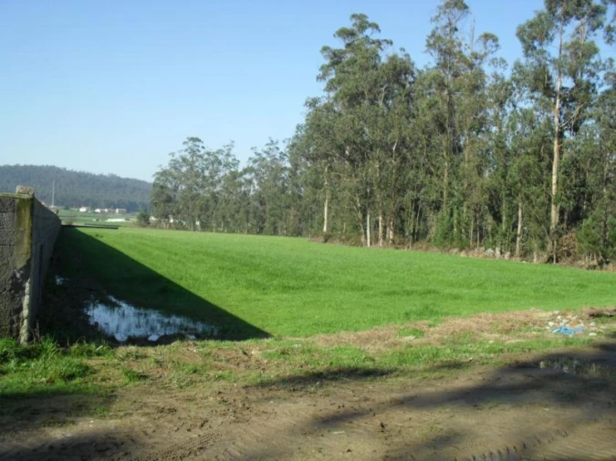 Terreno Agricola ou Rústico para Venda em Rates Foto 2