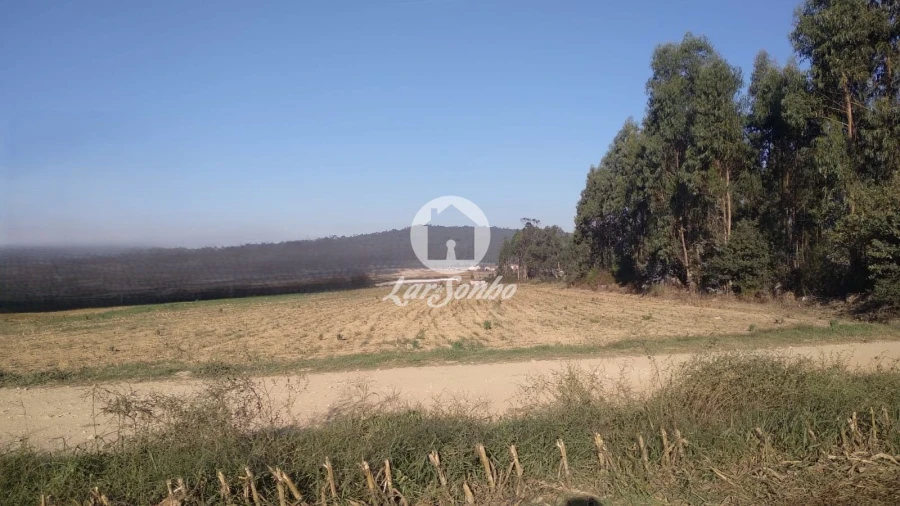 Terreno Agricola ou Rústico para Venda em Rates Foto 3