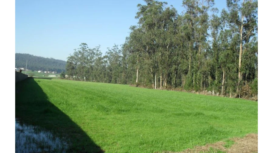 Terreno Agricola ou Rústico para Venda em Rates