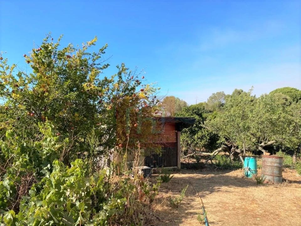 Terreno Misto para Venda em São Francisco Foto 22