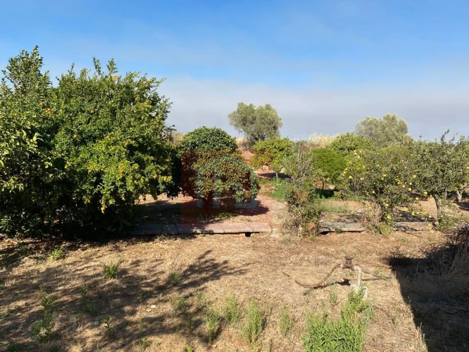 Terreno Misto para Venda em São Francisco Foto 6