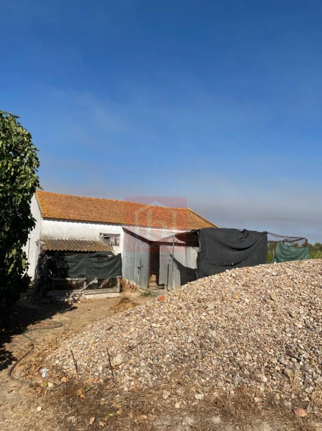 Terreno Misto para Venda em São Francisco Foto 25