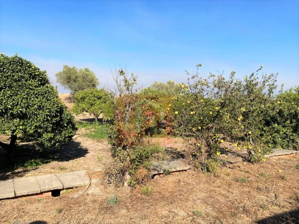 Terreno Misto para Venda em São Francisco Foto 28