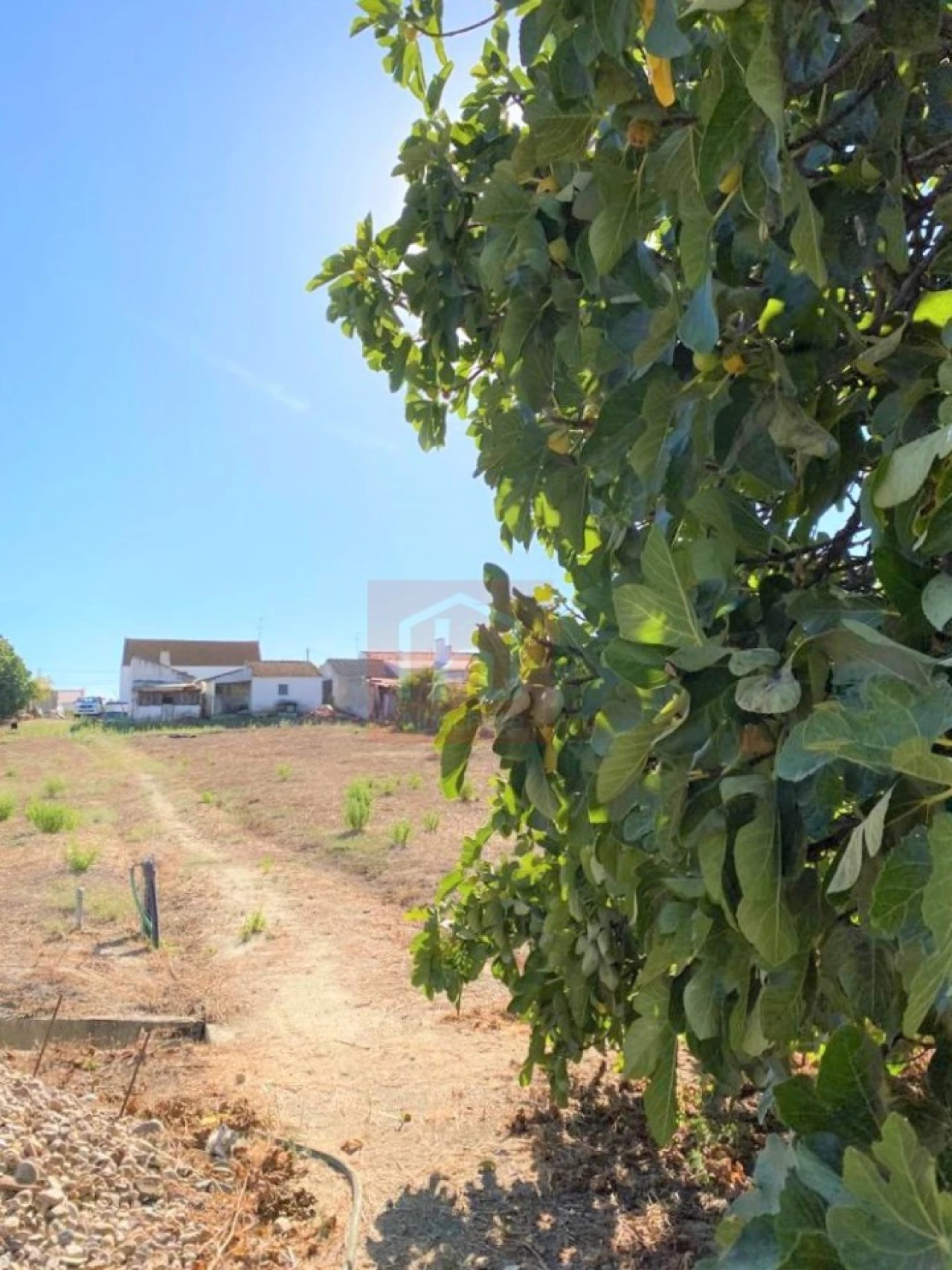 Terreno Misto para Venda em São Francisco Foto 31