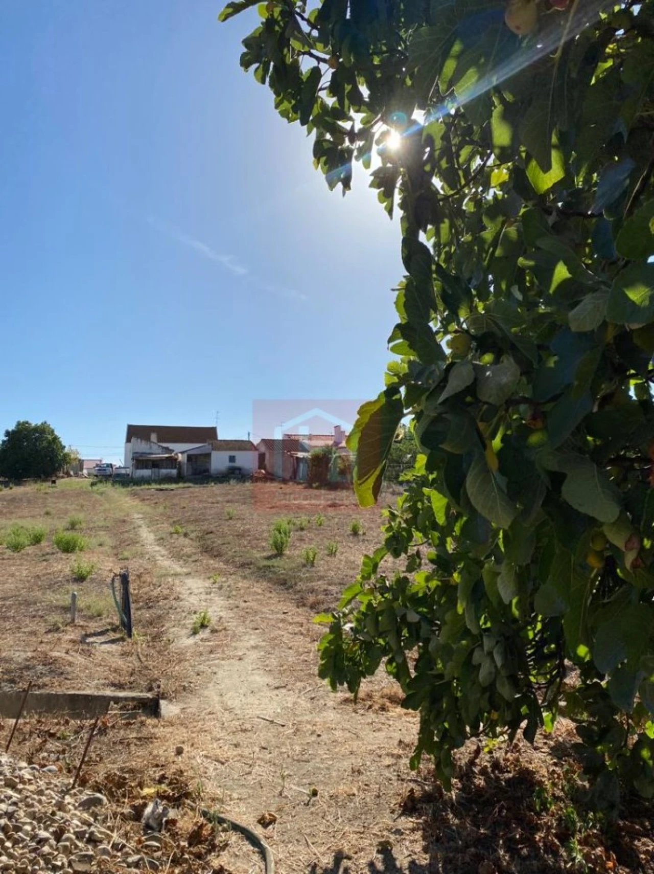 Terreno Misto para Venda em São Francisco Foto 5