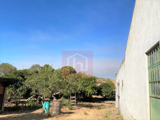 Terreno Misto para Venda em São Francisco Foto 21