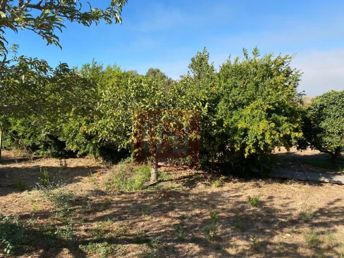 Terreno Misto para Venda em São Francisco Foto 23