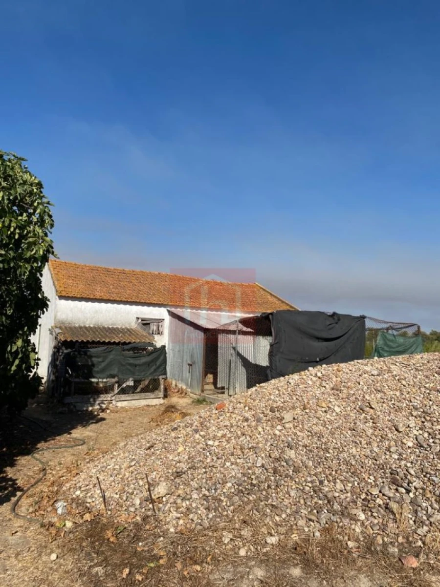 Terreno Misto para Venda em São Francisco Foto 25